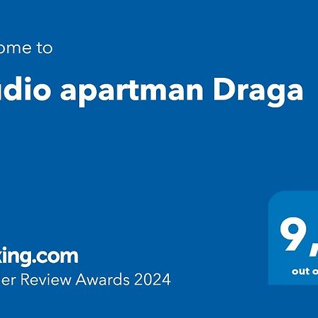 Studio Apartman Draga Velika Ludina Εξωτερικό φωτογραφία