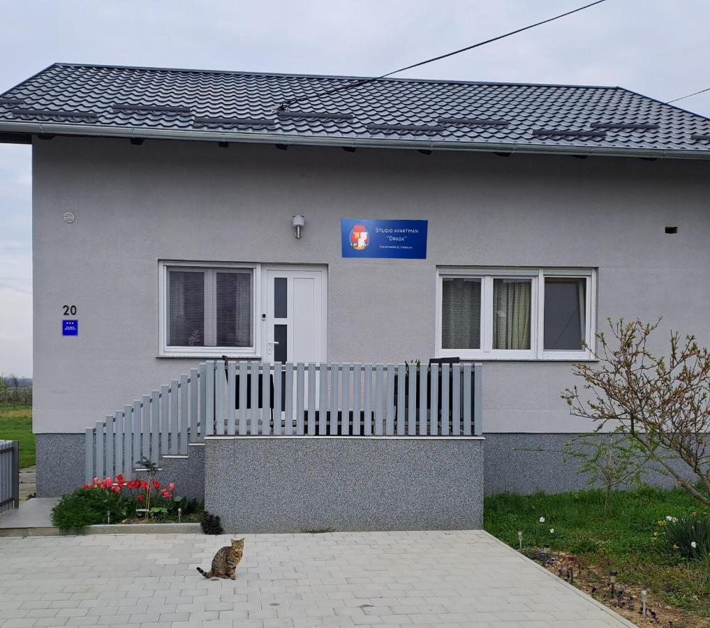 Studio Apartman Draga Velika Ludina Εξωτερικό φωτογραφία