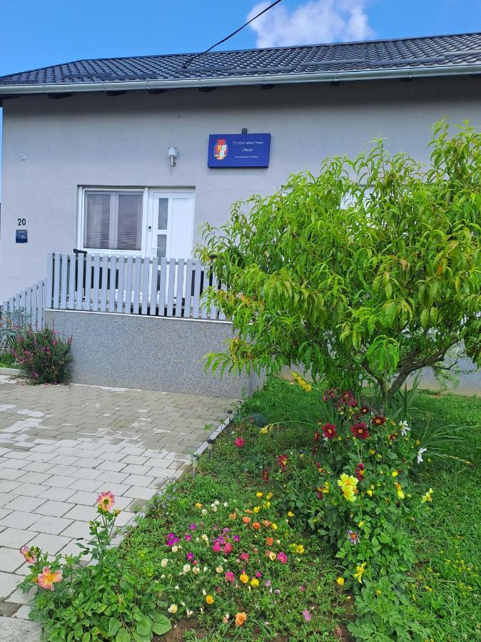 Studio Apartman Draga Velika Ludina Εξωτερικό φωτογραφία