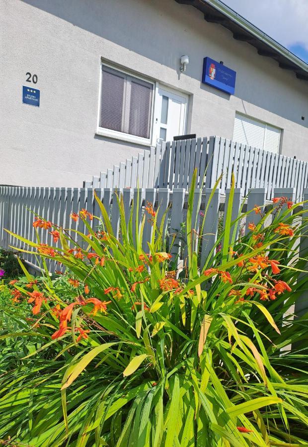 Studio Apartman Draga Velika Ludina Εξωτερικό φωτογραφία