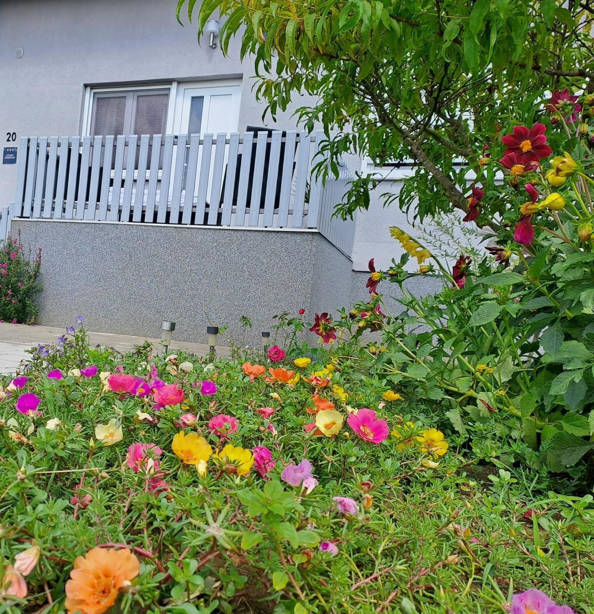 Studio Apartman Draga Velika Ludina Εξωτερικό φωτογραφία